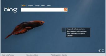 New Bing Video Background Touts Windows 8 Consumer Preview