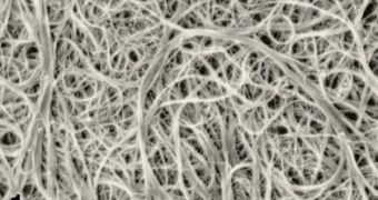 Carbon nanotubes laden with DNA and RNA strands make up the perfect biosensors, able to pick up trace amounts of bacteria