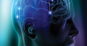 Researchers develop new brain implants, say they are 10 times smaller than their predecesors