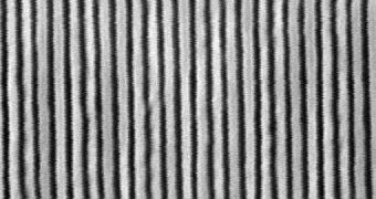 Image of the interference pattern obtained with the help of ultraviolet light with a wavelength of 391 nm