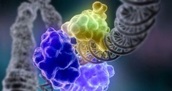 New drugs could target enzymes that allow cancer cells to survive massive DNA damage