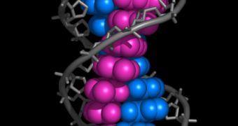 This picture shows how DNA bases are stacked together along the double helix.