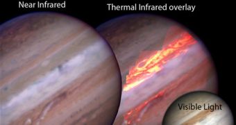 Jupiter regains its South Equatorial Belt step-by-step
