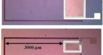 Top view of micro-machined piezoelectric converters (before wafer bonding) realized by IMEC