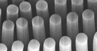 This array of carbon nanotube pillars can easily trap cancer cells and other tiny objects as they flow through a microfluidic device
