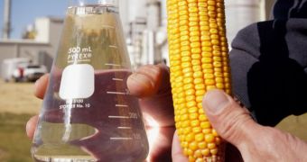 Ethanol is mainly made of corn