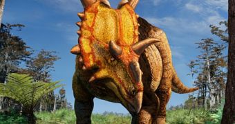 Xenoceratops foremostensis lived 80 million years ago and was probably a vegetarian