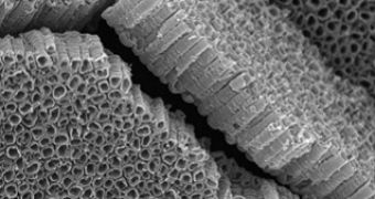 New High Performance Electronics Using Linear Arrays of Nanotubes