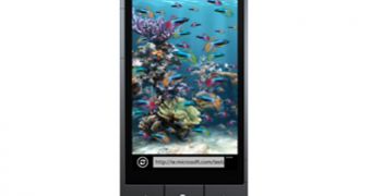 IE9 Mobile on Windows Phone 7