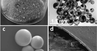 Toluene-filled polyamide microcapsules containing 1% CNTs