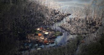 Video shows how illegal oil refineries destroy the environment