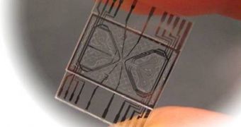 An image showing the new microfluidic device