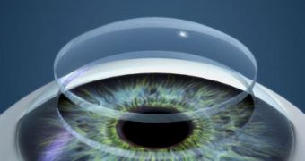 New Layer of the Human Cornea Discovered by University of Nottingham Scientists