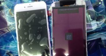New Leak Shows Images of an Alleged iPhone 6L Logic Board and Display – Rumor, Gallery