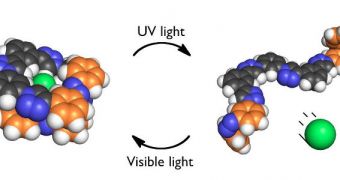 Basic diagram of how the new IU Bloomington molecule functions