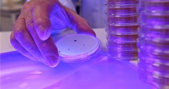 A new lighting system can fight hospital infections like the Methicillin-resistant Staphylococcus aureus (MRSA), and Clostridium difficile – C.diff.