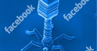 New Localized Facebook Attack Spreads Password Stealer