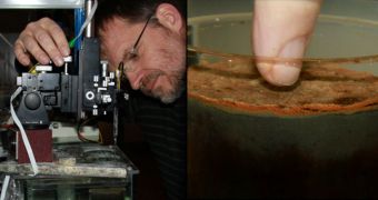At left, Nielsen measures current in the sediment sample; at right, a close-up view of the sediment