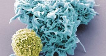 Researchers hope to harness the power of the immune system's dendritic cells (one such cell is shown above in blue), which are responsible for directing the body's immune response
