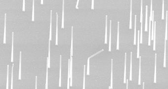 NODE Project scientists learn to grow nanowires vertically