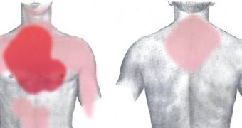 Areas where pains associated with heart attack are usually felt