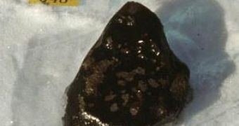 New Moon Meteorite Discovered in Antarctica