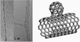 A fullerene/SWNT hybrid structure ? a NanoBud.