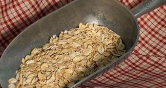 New Oat Variety Might Boost Agricultural Practices
