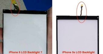 Comparison between iPhone 6 and iPhone 5s backlighting modules