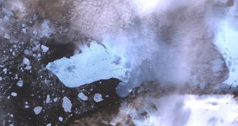New Photos of Petermann Glacier Iceberg