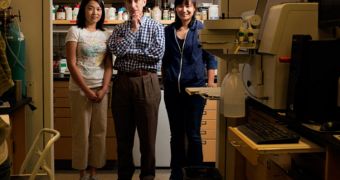 From left to right: Ying Song, chemistry professor Stephen J. Lippard and Ga Young Park, all members of the MIT team that developed a new, platinum-based compound against cancer tumors