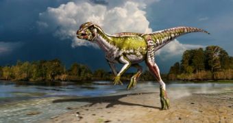 New plant-eating dinosaur species discovered in Alberta, Canada
