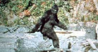 New Reality Show Offers $10 Million (€7.8 Million) to Capture Bigfoot