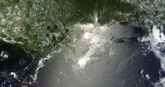 The Gulf of Mexico oil spill is the worst environmental disaster in the history of the US