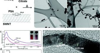 Synthesis and characterization of gold nanowires