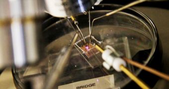 New, miniature plasma-based transistors can be used inside nuclear reactors