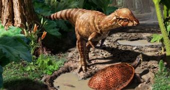Paleontologists discover new species of bone-headed dinosaur