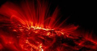 STEREO sees largest spot on the Sun this year