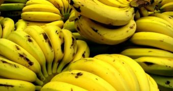 Researchers claim to have found new way of keeping bananas fresh for longer periods of time