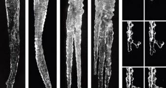 Icicles take on different shapes, depending on a variety of factors, new research shows