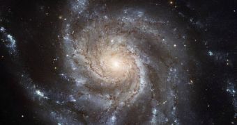 The Pinwheel Galaxy, showing off its remarkable spiral arms