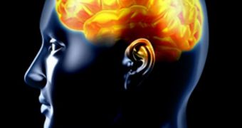 New Theory on Where Emotional Memories Are Stored