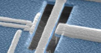 SEM image of a superconducting qubit in close proximity to a nanomechanical resonator
