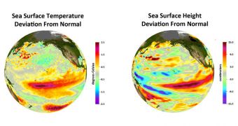 Deviations from normal sea surface temperatures (left) and sea surface heights (right) at the peak of the 2009-2010 central Pacific El Nino