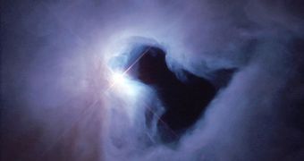 Massive stars could go through an "electroweak" phase before collapsing into black holes