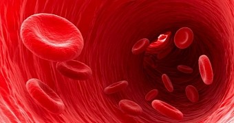 New way to diagnose malaria boils down to looking for parasite waste in red blood cells
