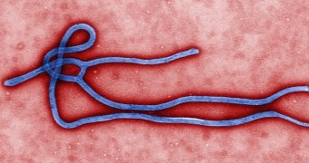 New York City doctor diagnosed with deadly Ebola disease