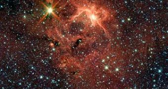 Newborn Star Spotted in Dust Cloud