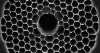 Electron microscope image through a hollow glass fiber optic core