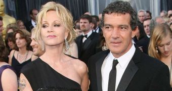 Melanie Griffith fights for custody of the dogs in her divorce from Antonio Banderas